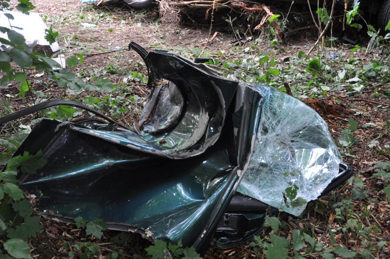 Der Wagen zerschellte an einem Baum - der Fahrer starb an der Unfallstelle.