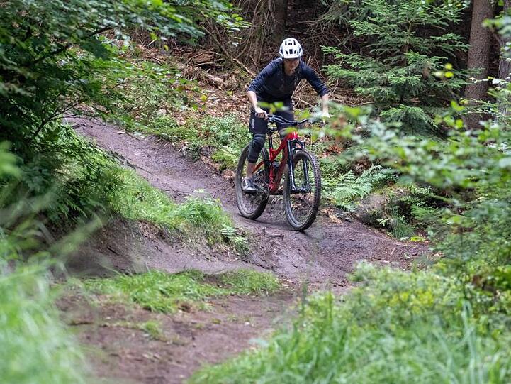 Eine Frau fährt mit ihrem Mountainbike auf einem Trail im Nürnberger Reichswald. Foto: Daniel Karmann/dpa/Symbolbild