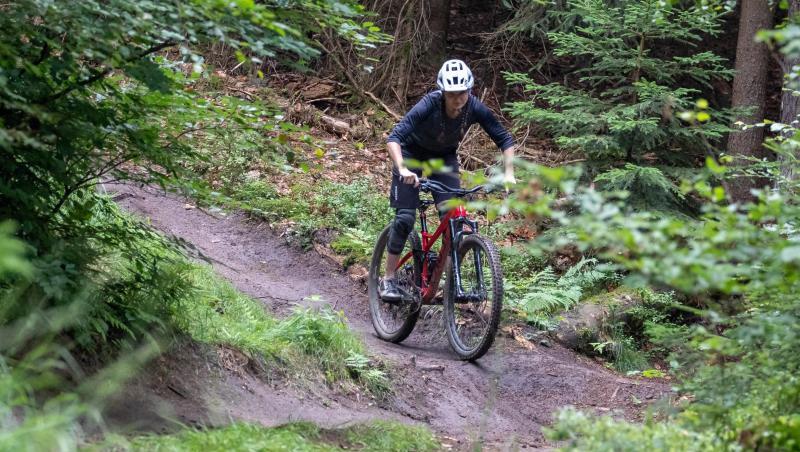 Eine Frau fährt mit ihrem Mountainbike auf einem Trail im Nürnberger Reichswald. Foto: Daniel Karmann/dpa/Symbolbild Eine Frau fährt mit ihrem Mountainbike auf einem Trail im Nürnberger Reichswald. Foto: Daniel Karmann/dpa/Symbolbild