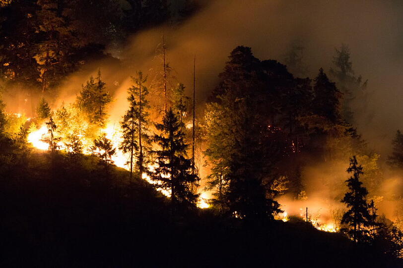 Die Polizei meldete am frühen Morgen: "Aus bisher ungeklärter Ursache kam es am Samstag, 27.07.13, abends, zu einem Waldbrand oberhalb des Thumsees bei Bad Reichenhall." Die Bilder zum Durchklicken.