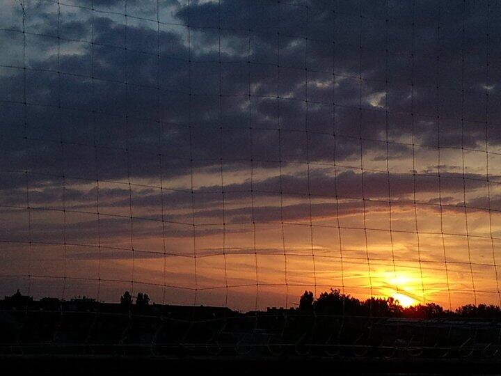 Das Taubennetz wird einfach ignoriert: Der Ausblick vom Wetsbalkon in Laim.