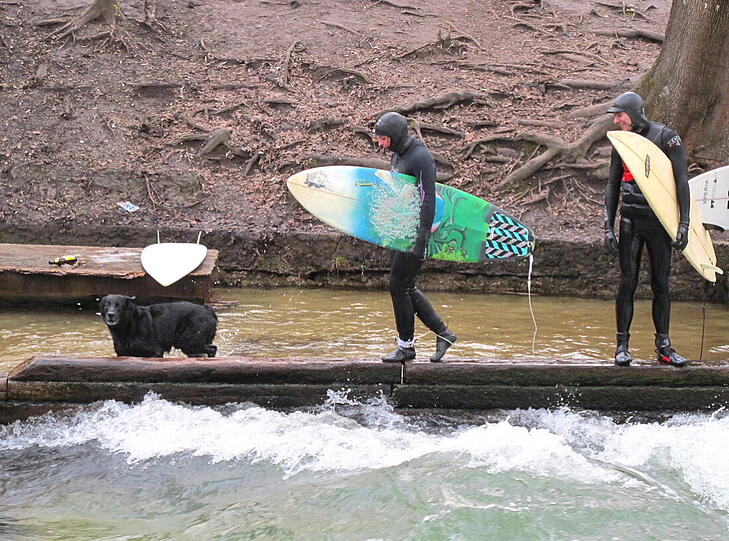 Lehel: Eisbach mit Hund.