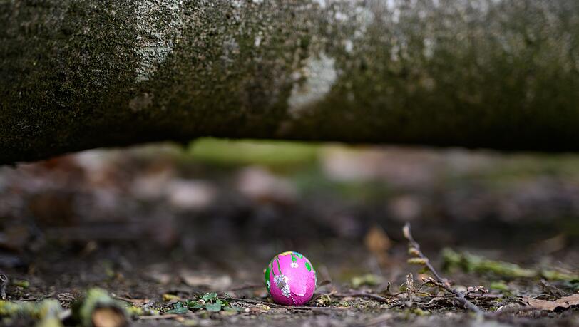 In einem Waldst&uuml;ck im Norden Schleswig-Holsteins ist ein Baum auf eine Gruppe gest&uuml;rzt.