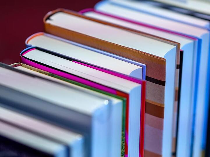 Romane, Sachbücher und Kinderliteratur stehen in einem Buchladen. Foto: Jens Büttner/dpa/Archivbild