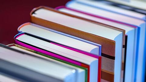Romane, Sachbücher und Kinderliteratur stehen in einem Buchladen. Foto: Jens Büttner/dpa/Archivbild