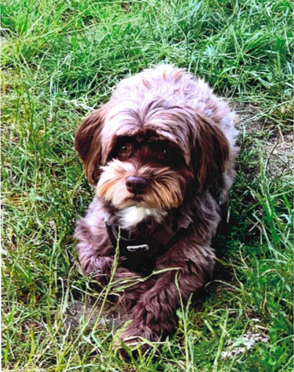 Oscar