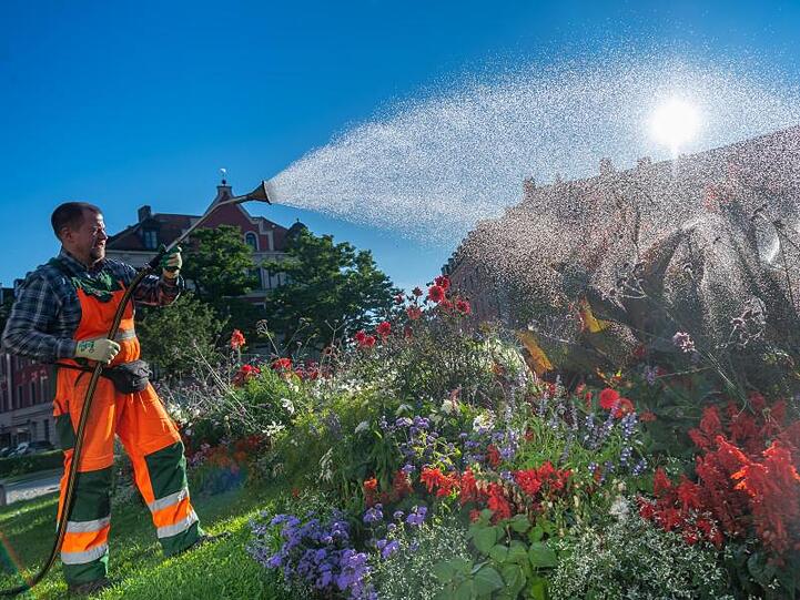 Ein Mitarbeiter der Stadt gießt in den Morgenstunden die Blumenbeete am Gärtnerplatz in München.