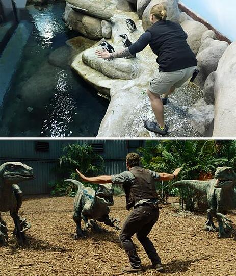 #JurassicZoo: Wenn Jurassic World Wirklichkeit wird