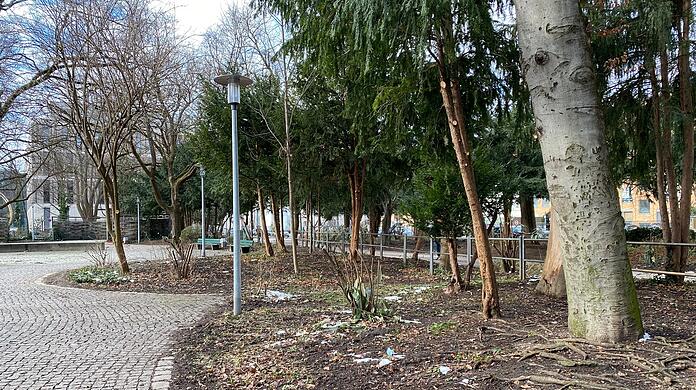 Im Nußbaumpark beim Sendlinger Tor bleiben nach umfassenden Maßnahmen der Stadt fast nur noch Bäume übrig.