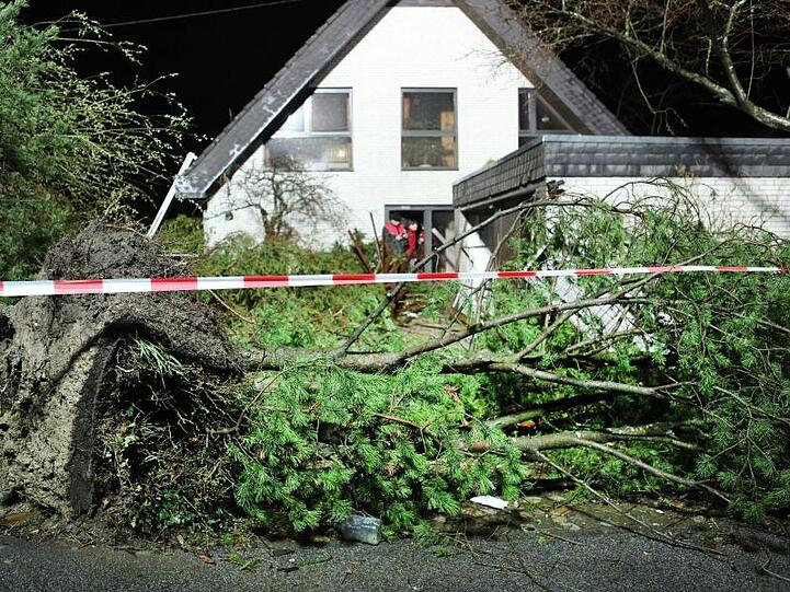 Umgestürzte Bäume liegen vor einem Haus in Roetgen.