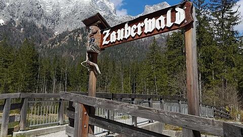 Der Zauberwald.