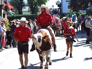 Almabtrieb in der Wildschönau, Foto: TVB