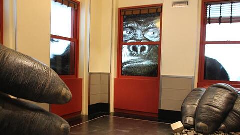 Eine neue Attraktion: King Kong.