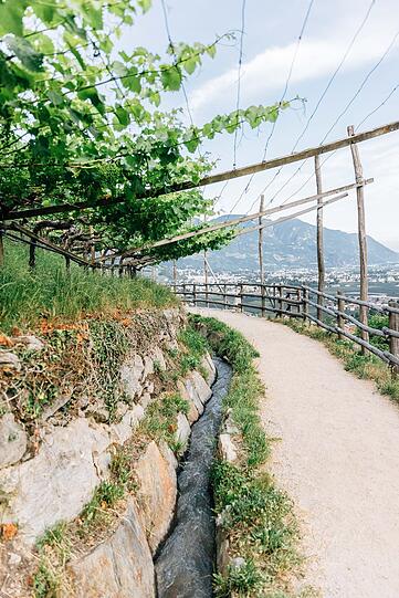 Über den ebenen Algunder Waalweg können Sie zu Fuß bis in die Kurstadt Meran wandern und dabei besondere Ausblicke über Algund und das Meraner Land genießen.