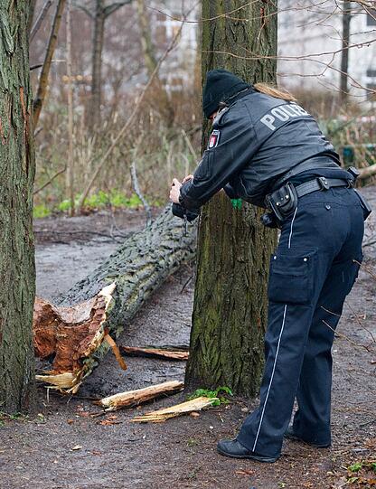 Durch einen umstürzenden Baum wurden in Hamburg mehrere Schulkinder verletzt.