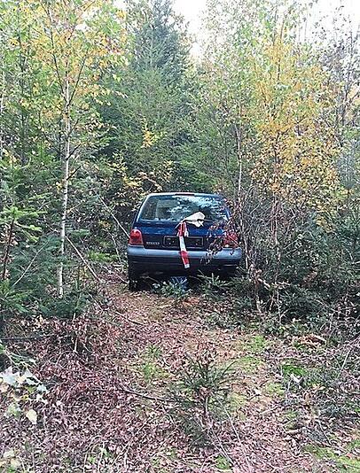Die Kinder entdeckten im Wald ein Auto. Ein Zettel steckte im Scheibenwischer: "Ich bekomme das Auto nicht weg, Sie können es vom Förster abholen lassen. Schlüssel steckt." Die Kinder entdeckten im Wald ein Auto. Ein Zettel steckte im Scheibenwischer: "Ich bekomme das Auto nicht weg, Sie können es vom Förster abholen lassen. Schlüssel steckt."