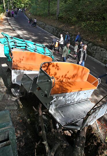 Die Bilder vom Kutschen-Unfall in Neuschwanstein.