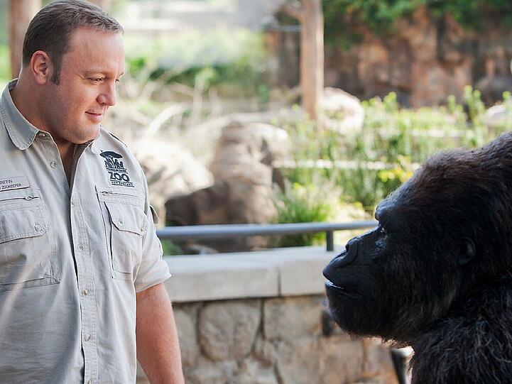 "Der Zoowärter": Zwischen Tierpfleger Griffin (Kevin James) und Gorilla Bernie entwickelt sich eine Freundschaft