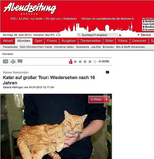 Den Anfang macht die AZ. Hier steht die Exklusiv-Story über den vermissten Kater als erstes.
