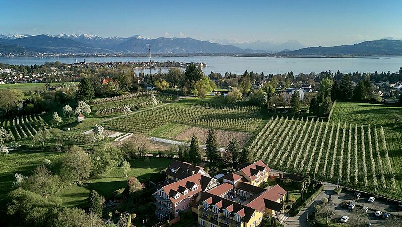 Wein- und Obstgärten umrahmen das Villino, im Hintergrund der See und die Alpen. Wein- und Obstgärten umrahmen das Villino, im Hintergrund der See und die Alpen.