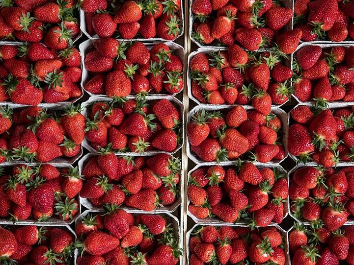 Bei der Größe der Freiland-Anbauflächen für Erdbeeren liegt Niedersachsen mit 2866 Hektar vor Nordrhein-Westfalen mit 2416 Hektar.