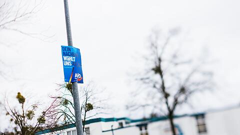 Die AfD hat in mehreren Landesteilen hohe Ergebnisse eingefahren. (Archivbild)