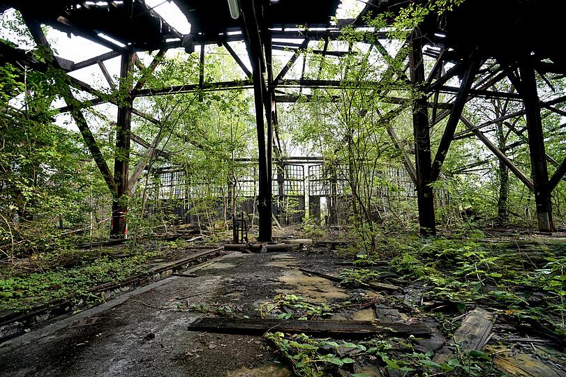 Verwunschener Garten: ein altes Bahnwerk irgendwo in Bayern. Es dauert nicht lange, bis sich die Natur die "Lost Places" zurückholt. Verwunschener Garten: ein altes Bahnwerk irgendwo in Bayern. Es dauert nicht lange, bis sich die Natur die "Lost Places" zurückholt.