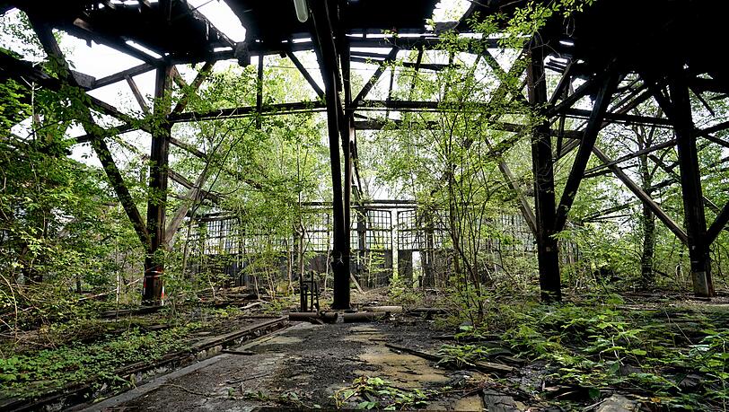 Verwunschener Garten: ein altes Bahnwerk irgendwo in Bayern. Es dauert nicht lange, bis sich die Natur die "Lost Places" zurückholt. Verwunschener Garten: ein altes Bahnwerk irgendwo in Bayern. Es dauert nicht lange, bis sich die Natur die "Lost Places" zurückholt.