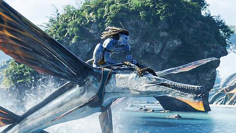"Avatar: The Way of Water" war 2022 der profitabelste Film.