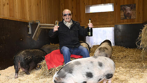 Schwein gehabt! Da Jahr 2024 war für Michael Holm ein sehr erfolgreiches – darauf lässt sich anstoßen!