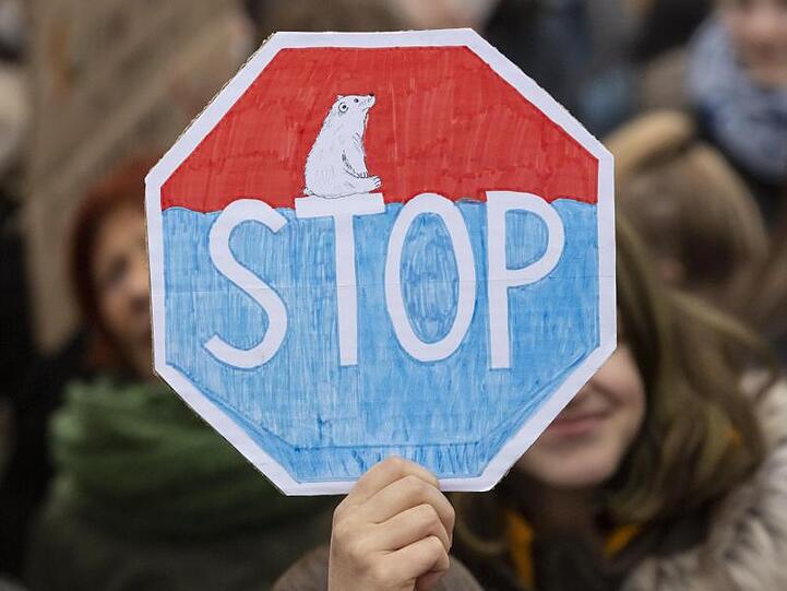 "Fridays for Future"-Demonstration in Berlin.