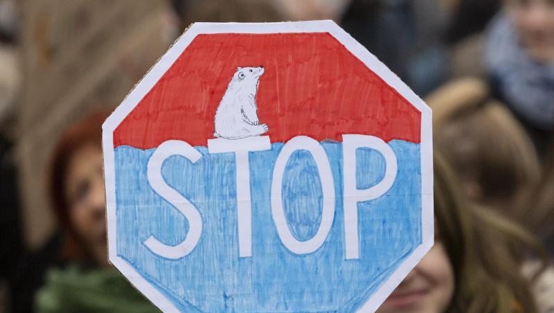 "Fridays for Future"-Demonstration in Berlin. "Fridays for Future"-Demonstration in Berlin.