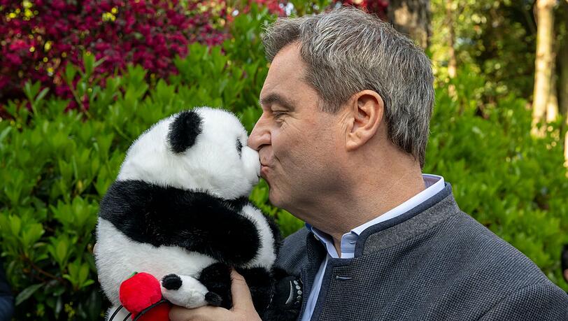 Auf seiner China-Reise hat Ministerpr&auml;sident Markus S&ouml;der (CSU) Gefallen an den gef&auml;hrdeten Tieren gefunden. (Archivbild)