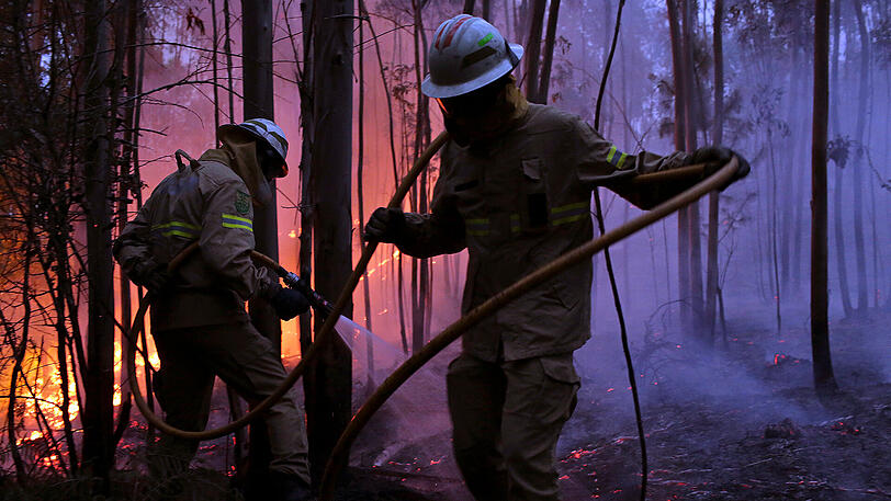 Feuerwehrmänner der >Republikanischen Nationalgarde kämpfen sich durch das verkohlte Unterholz zu den Flammen vor.