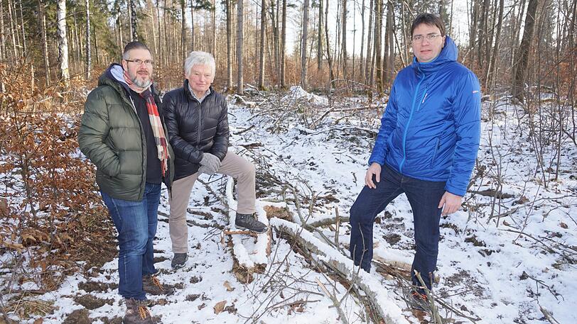 Alexander Schmitt-Geiger, Manfred Sturm und Landtagsabgeordneter Florian von Brunn (v. l.) im Perlacher Forst in München.
