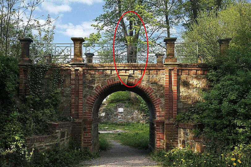 Hätten Sie die Nackte gefunden? Klicken Sie durch die Bilderrätsel.