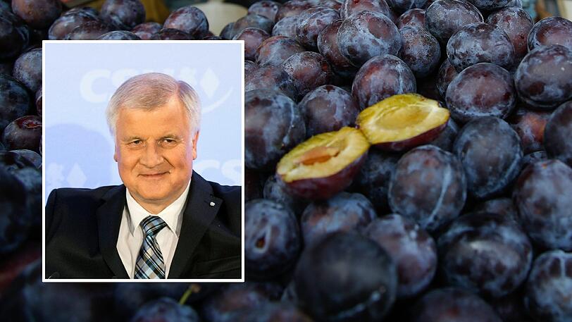 "Seehofer, dieser scharf an der Debilität entlangschrammende Pflaumenaugust muss weg - Bayern hat Besseres verdient!", soll der bisherige Ingolstädter Klinikchef auf Twitter geschrieben haben.