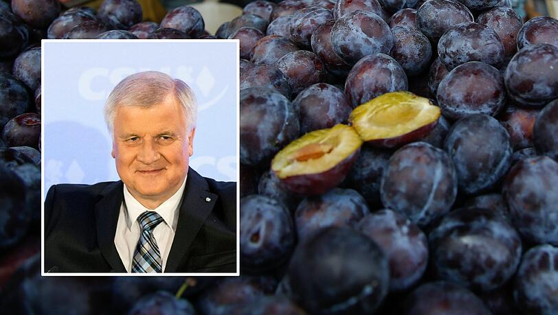 "Seehofer, dieser scharf an der Debilität entlangschrammende Pflaumenaugust muss weg - Bayern hat Besseres verdient!", soll der bisherige Ingolstädter Klinikchef auf Twitter geschrieben haben. "Seehofer, dieser scharf an der Debilität entlangschrammende Pflaumenaugust muss weg - Bayern hat Besseres verdient!", soll der bisherige Ingolstädter Klinikchef auf Twitter geschrieben haben.