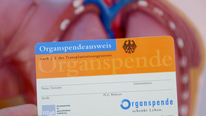 Ein Organspendeausweis. Foto: Daniel Maurer/dpa/Archivbild Ein Organspendeausweis. Foto: Daniel Maurer/dpa/Archivbild