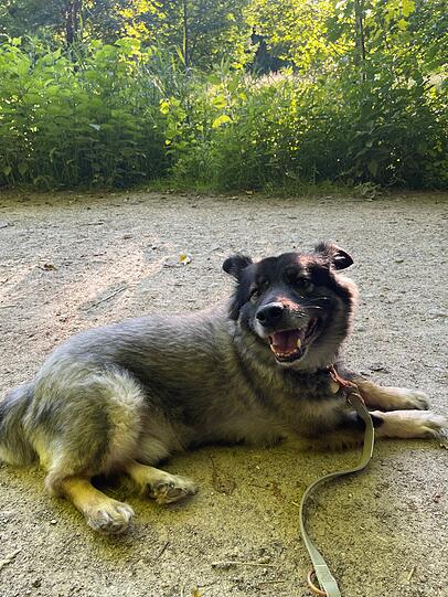 Samu