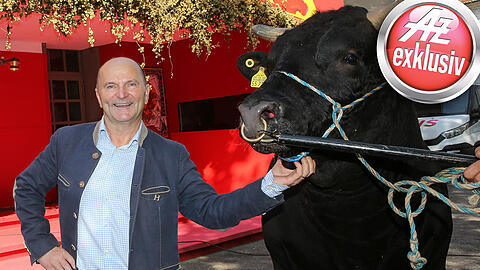 Als er alles verloren hatte, widmete er sich der Wagyu-Rinderzucht: Sepp Krätz mit Stier Haruki vorm Hippodrom im Postpalast.