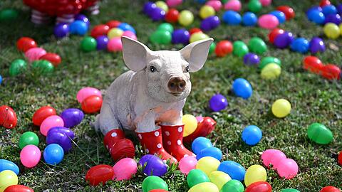 Auch zahlreiche Tiere wie etwa dieses Schwein oder auch eine Giraffe und zahlreiche Affen stehen zwischen den bunten Eiern.