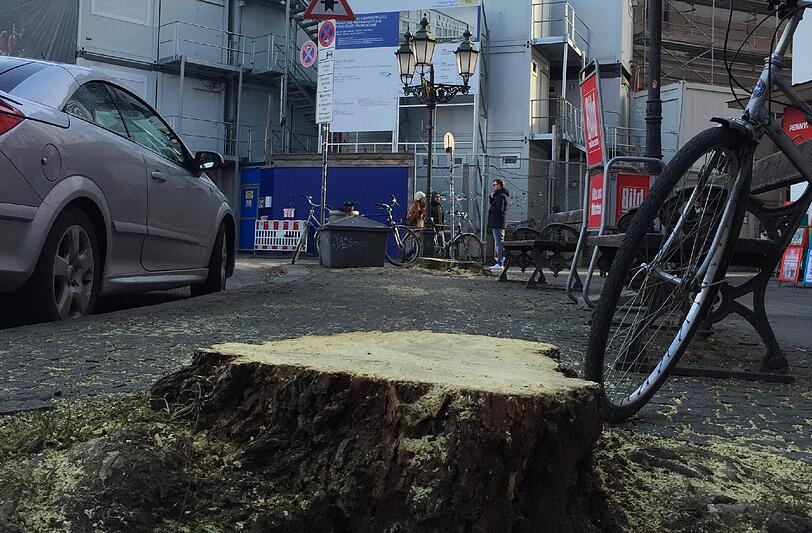 Plötzlich waren die Bäume am Gärtnerplatz weg.