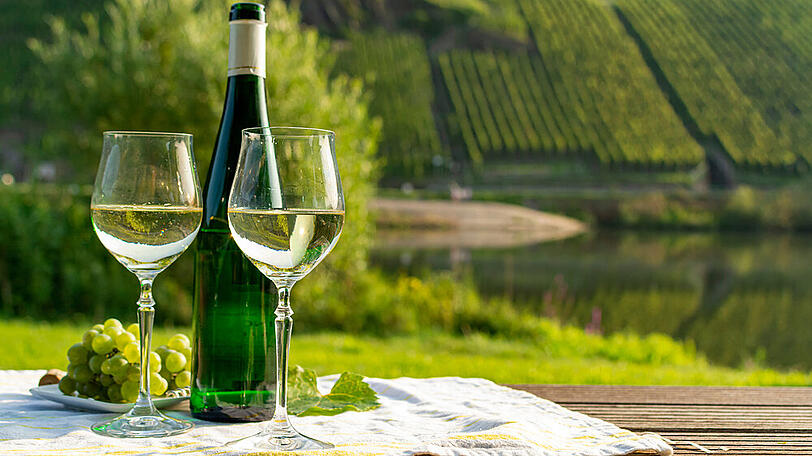 Der Riesling gehört zu den typischen Trauben im Mosel-Gebiet
