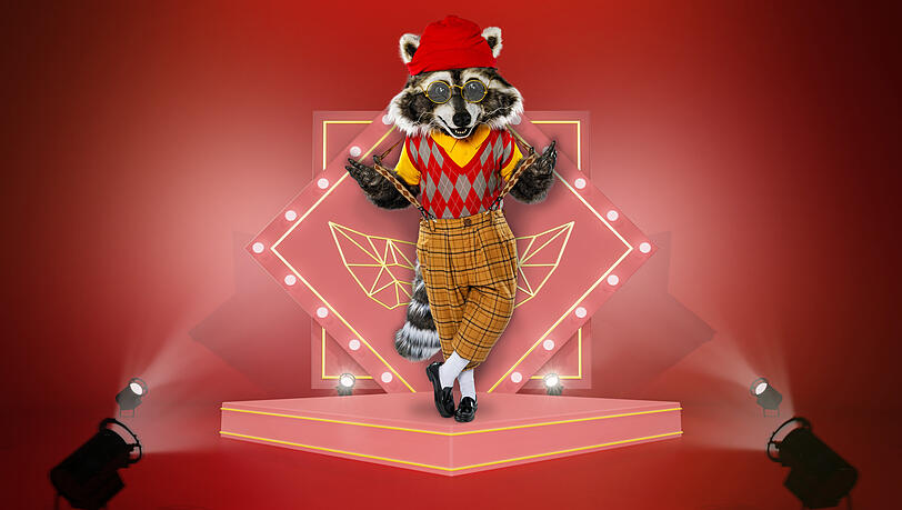 Der Waschbär singt 2023 auf der Bühne von "The Masked Singer". Der Waschbär singt 2023 auf der Bühne von "The Masked Singer".
