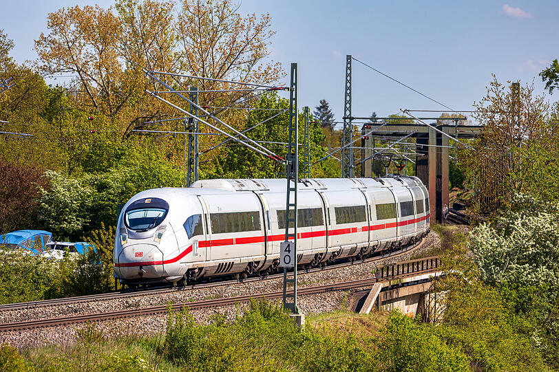 In Unterfranken wurden Kolonien an Bahnlinien entdeckt. In Unterfranken wurden Kolonien an Bahnlinien entdeckt.