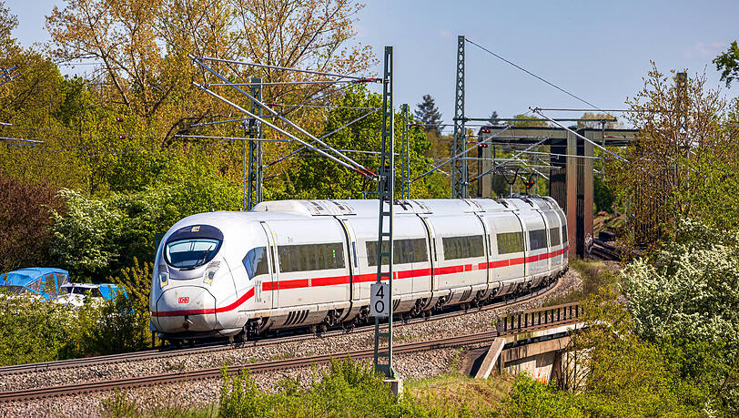 In Unterfranken wurden Kolonien an Bahnlinien entdeckt. In Unterfranken wurden Kolonien an Bahnlinien entdeckt.