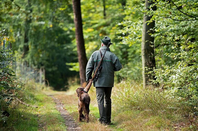 Sein eigentliches Ziel verfehlte ein 74-jähriger Jäger - er traf einen Kollegen im Fuß.