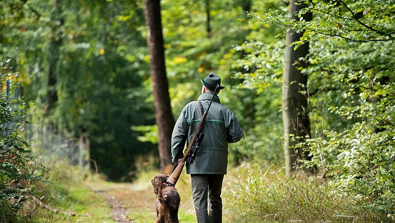 Sein eigentliches Ziel verfehlte ein 74-jähriger Jäger - er traf einen Kollegen im Fuß. Sein eigentliches Ziel verfehlte ein 74-jähriger Jäger - er traf einen Kollegen im Fuß.