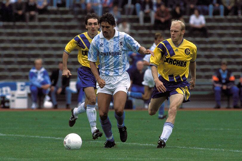 Peter Pacult (1993 - 1995)